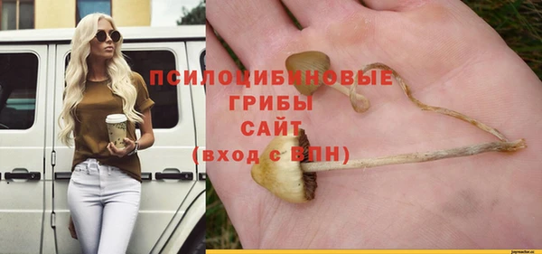 эйфоретик Медвежьегорск